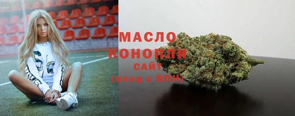 гидра Володарск