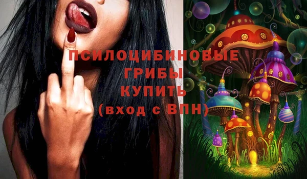 гашик Волоколамск