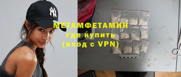 гидра Володарск