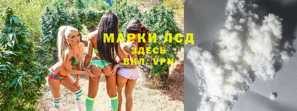 гидра Володарск