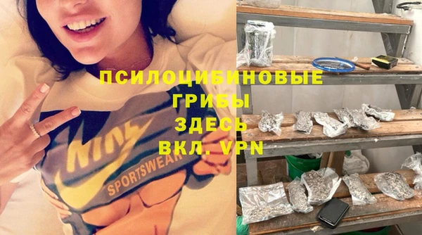 гидра Володарск