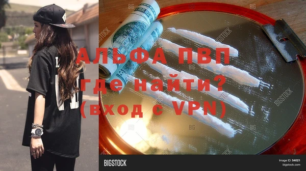 гидра Володарск