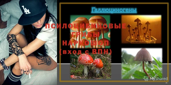 гашик Волоколамск