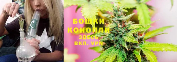 гидра Володарск
